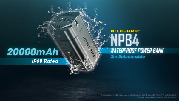 NPB4